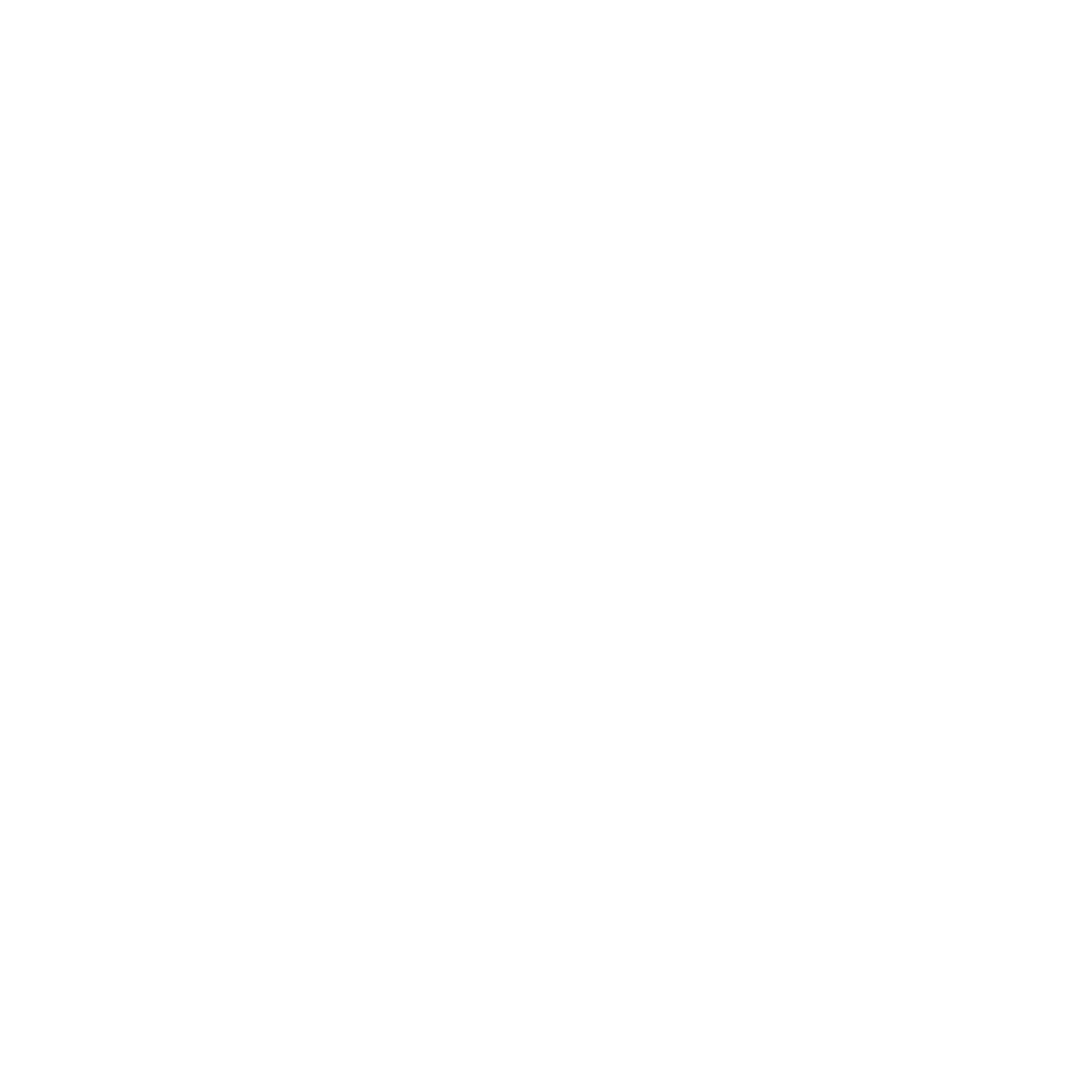 INSDETAIL_LOGO-white